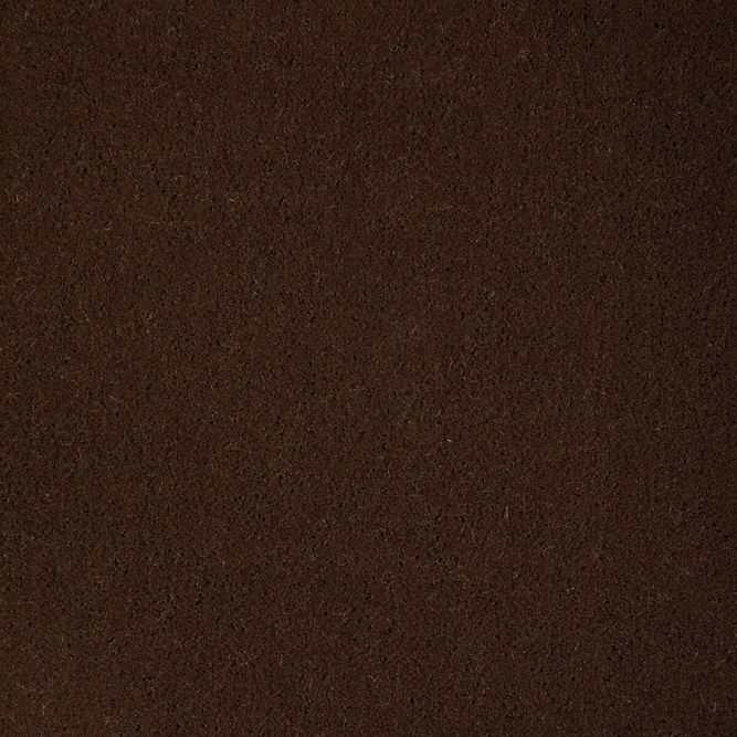 Kravet Fomo Cub Fabric