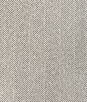 Kravet Reprise Fossil Fabric