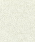 Kravet Couture 36596-101 Fabric