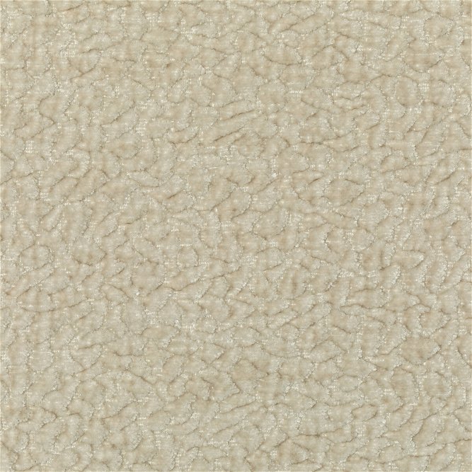 Kravet Couture 36596-1 Fabric