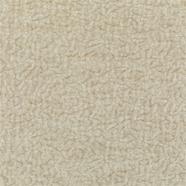 Kravet Couture 36596-1 Fabric