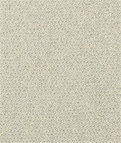 Kravet Couture 36604-116 Fabric