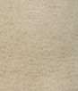 Kravet Smart 36606 116 Fabric