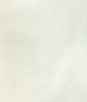 Kravet Smart 36606 1 Fabric