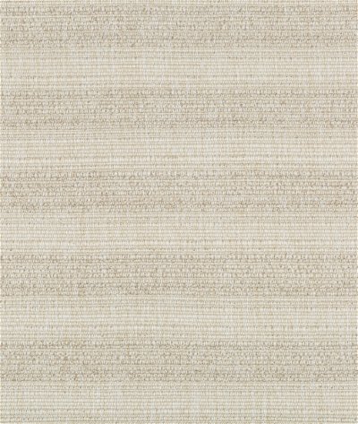 Kravet Couture 36613-116 Fabric