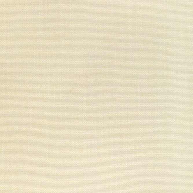 Kravet Smart 36650 111 Fabric