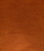 Kravet Rocco Velvet Spice Fabric