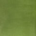 Kravet Rocco Velvet Cactus Fabric