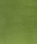 Kravet Rocco Velvet Cactus Fabric