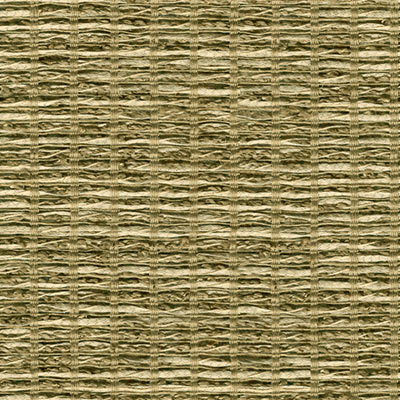 Kravet 3668.106 Bejo Sheer Patina Fabric