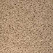 Kravet Marino Toast Fabric