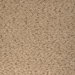 Kravet Marino Toast Fabric