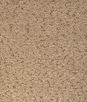 Kravet Marino Toast Fabric