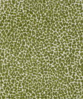Kravet Design 36777 3 Fabric