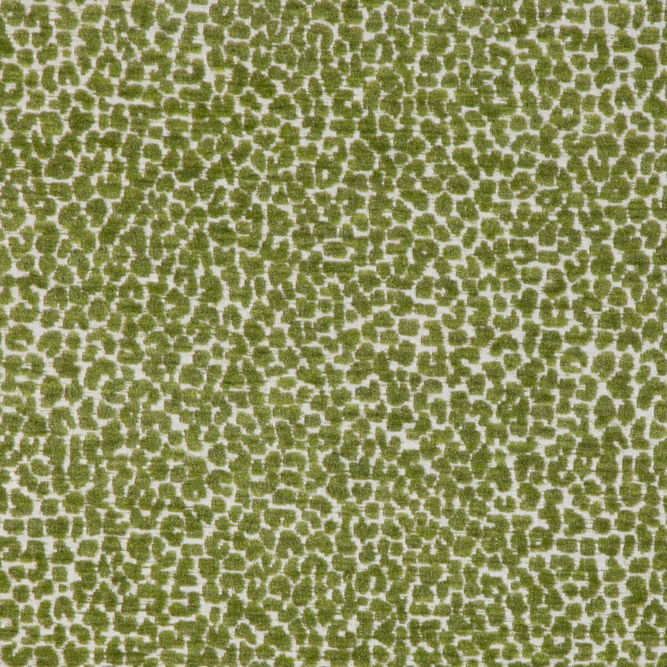 Kravet Design 36777 3 Fabric