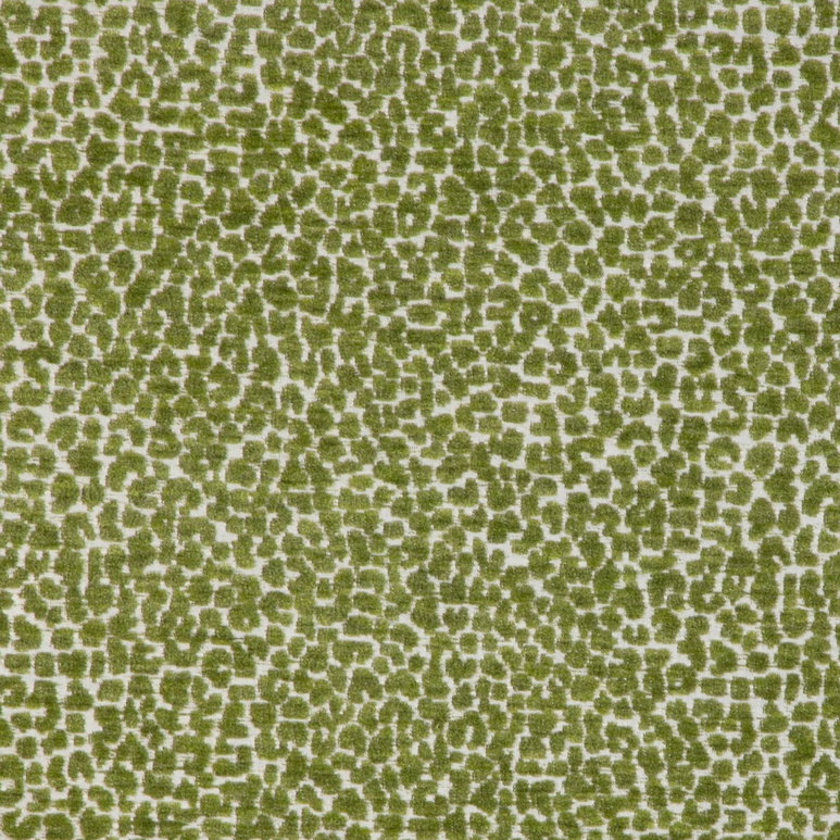 Kravet Design 36777 3 Fabric