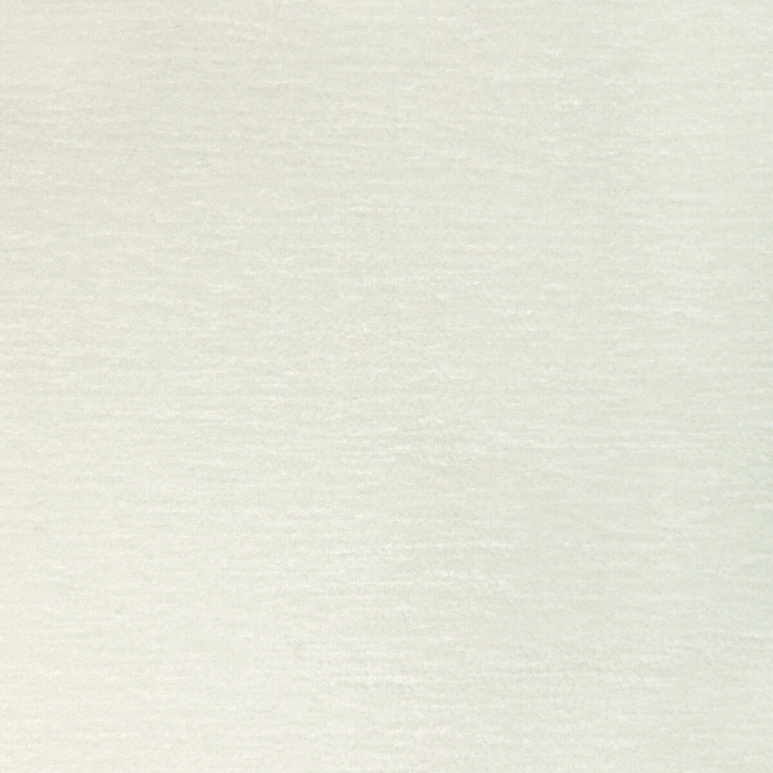 Kravet Puppy Love Snow Fabric