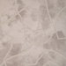 Kravet Poetic Motion Taupe Fabric