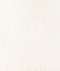 Kravet Pick Up Sticks Ivory Fabric