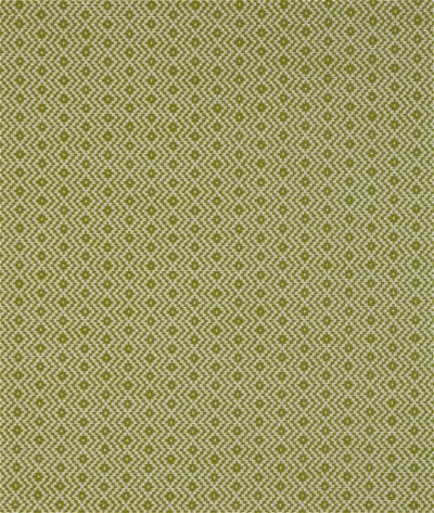 Kravet Design 36884 3 Fabric