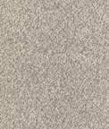Kravet Alpaca Boucle Fawn Fabric