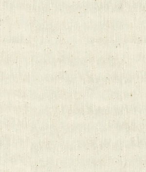 Kravet 3691.116 Fabric