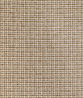 Kravet Aria Check Rattan Fabric