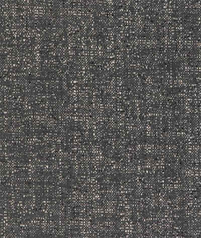 Kravet 36951.2121.0 Fabric