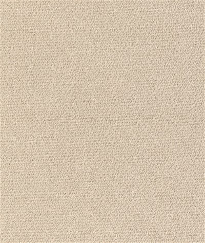 Kravet 36980.106.0 Fabric