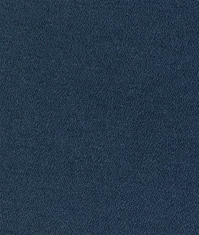 Kravet 36980.505.0 Fabric