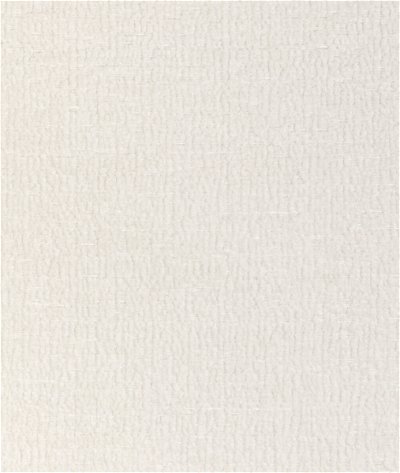Kravet 36985.101.0 Fabric