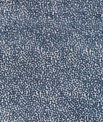 Kravet 36988.5.0 Fabric