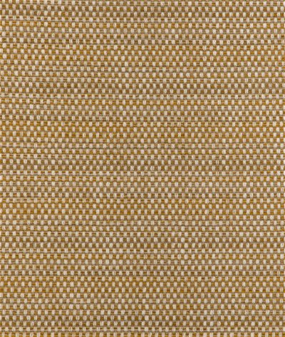 Kravet Smart 36994 4 Fabric