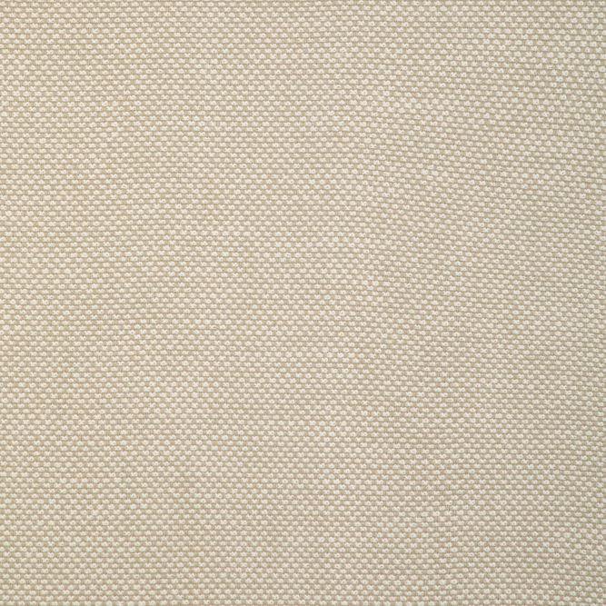 Kravet Smart 36999 116 Fabric