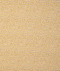 Kravet Smart 37004 411 Fabric
