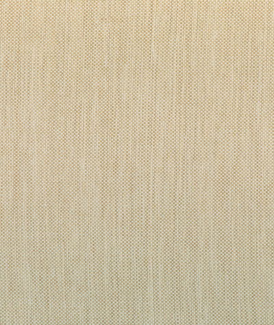 Kravet 37016.166.0 Fabric