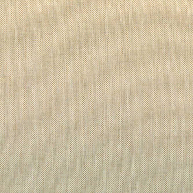 Kravet 37016.166.0 Fabric