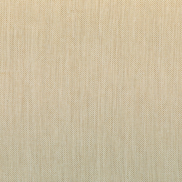 Kravet 37016.166.0 Fabric