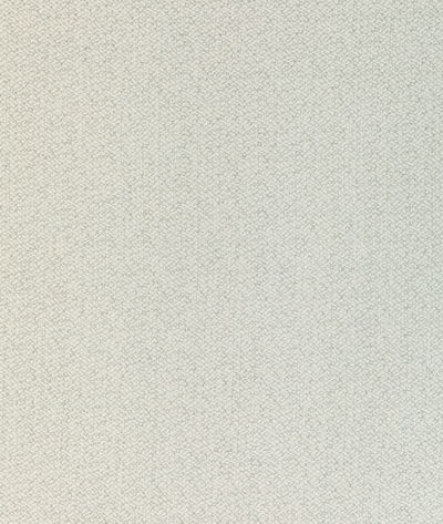 Kravet 37019.1101.0 Fabric