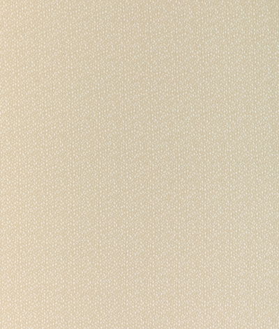 Kravet 37019.161.0 Fabric