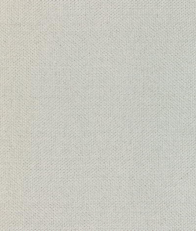Kravet 37024.1101.0 Fabric