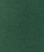 Kravet Manchester Wool Foliage Fabric