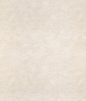 Kravet Watery Motion Oat Fabric