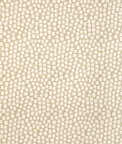 Kravet Step Above Chablis Fabric