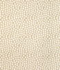 Kravet Step Above Chablis Fabric