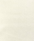 Kravet 37064.1.0 Fabric
