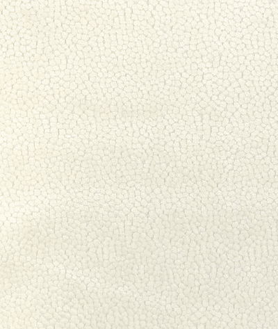 Kravet 37064.1.0 Fabric