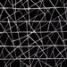 Kravet 37113.8.0 Fabric