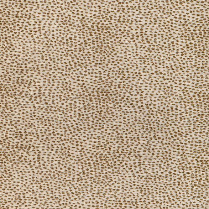 Kravet 37126.161.0 Fabric