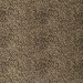 Kravet 37126.816.0 Fabric